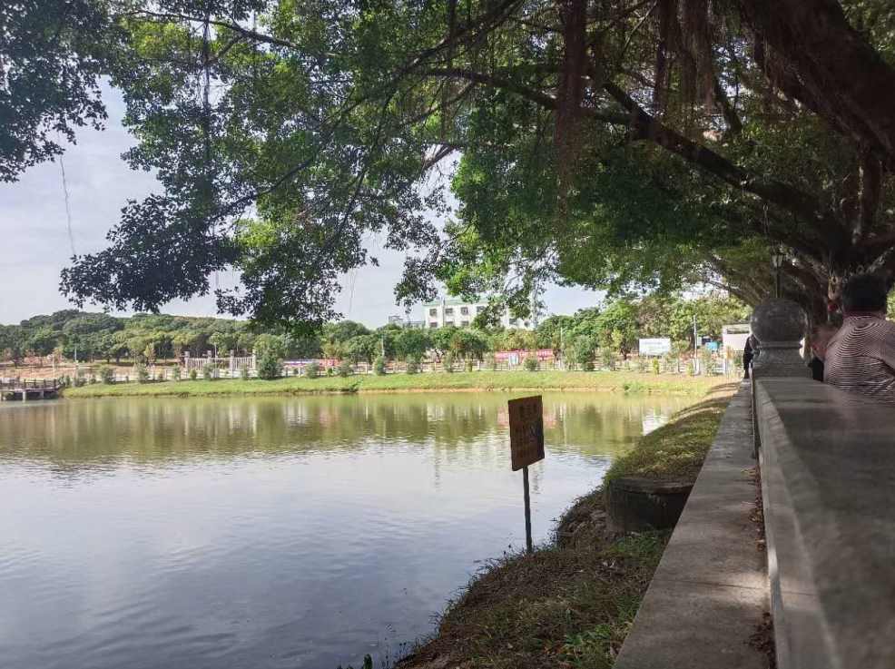 东莞大岭山新塘《星塘名居》新开楼盘统建楼，大三房39.8万起任选！