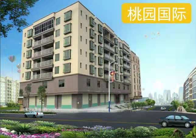 横沥村头小产权房《桃园国际》2栋统建楼，带地下停车场，三房总价27万起