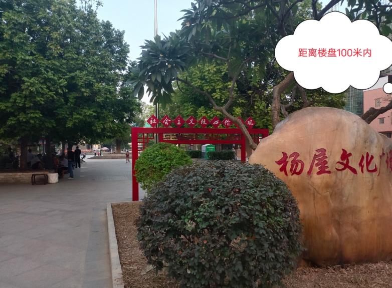 大岭山杨屋小产权房《文苑华府》4栋大型统建楼，停车位1:1，均价4000元