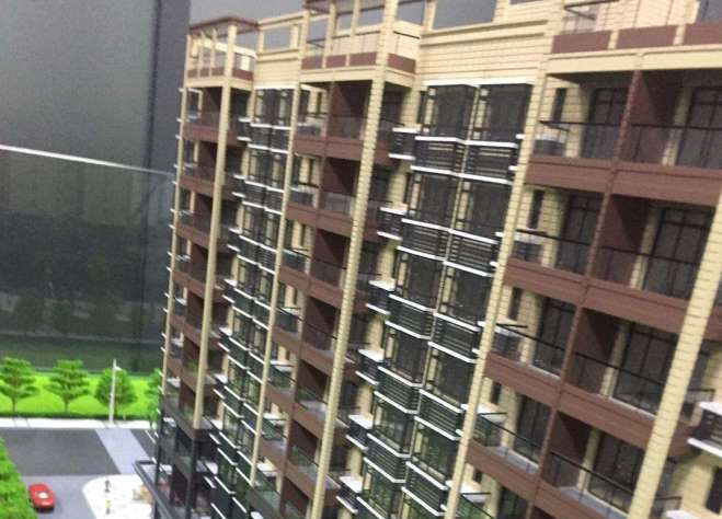 凤岗塘沥凤凰围《金凤豪庭三期》3栋300套统建楼，带大型停车场，均价6800元起