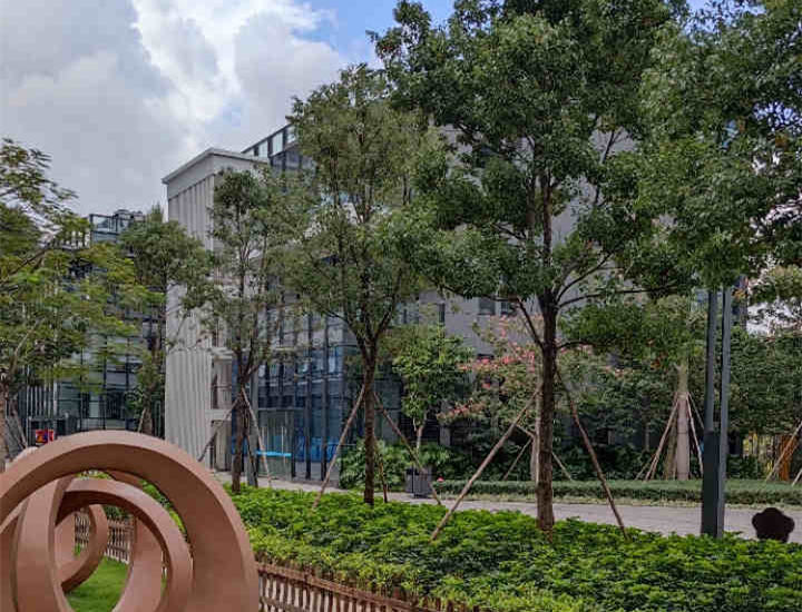 东莞凤岗金凤凰《金凤智谷》精装修出售，大型花园统建楼，自带大型停车场