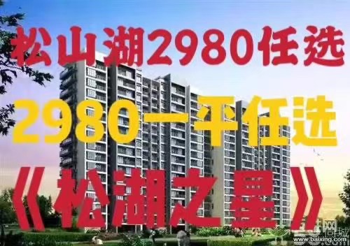 东莞东坑单价2980元《松湖之星》自带停车场，路边第一排，可分期3年