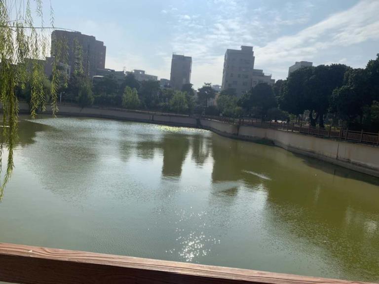 大朗松柏朗全新楼盘《地铁景城》地铁口800米，楼下大型公园，自带停车场