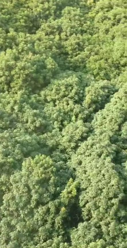 东莞企石东山大道《荔园公馆》毛坯大三房，统一售价26.8万每套，不分楼层任选！