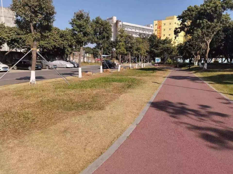 沙井大王山大型花园统建楼《绿林山景二期》55栋封闭式小区，带天燃气和停车位