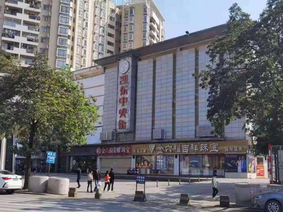 东莞大岭山镇中心小产权房《万象新城二期 》双地铁口 公园100米 商业街0距离 华为为邻