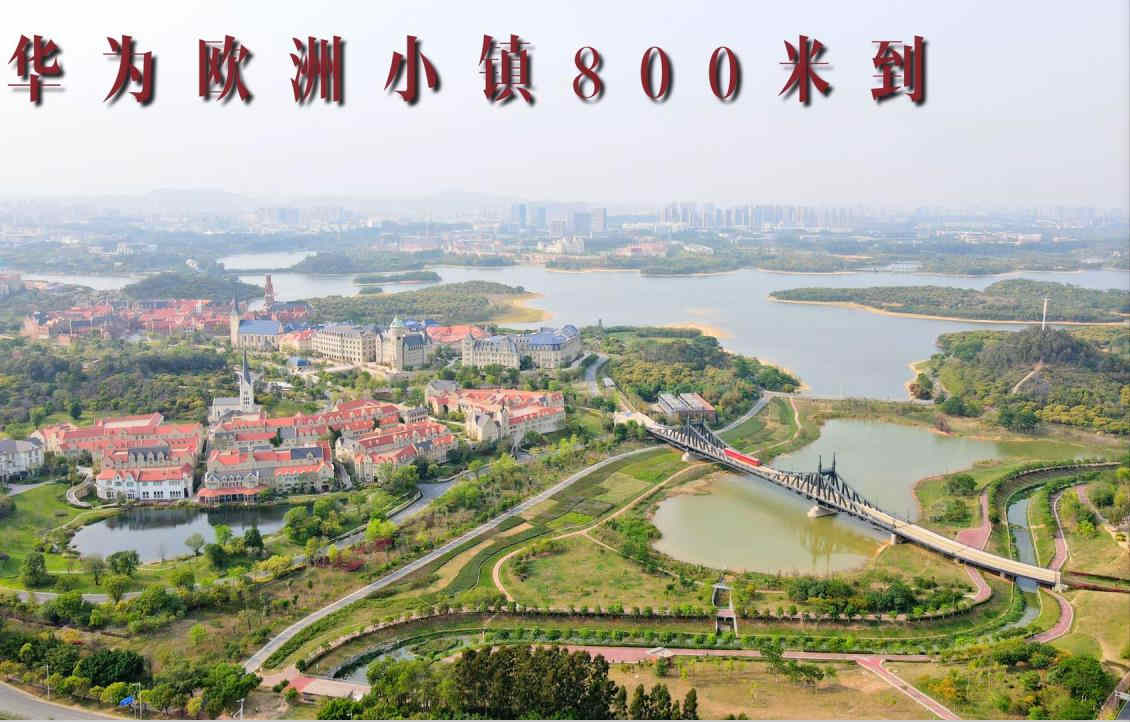 东莞松山湖大朗犀牛陂《南山壹号》小产权房 800米欧洲小镇 与华为共未来  第二个深圳南山