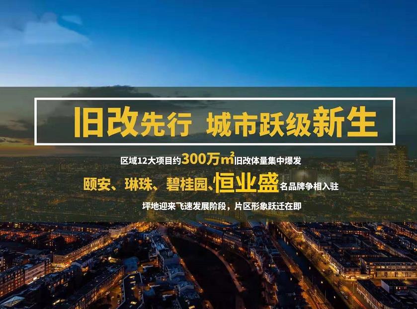 龙岗新生《坪西回迁房》双学区双地铁口物业 直接签约 100%确权