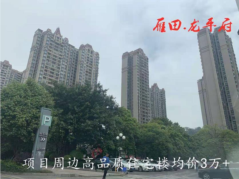 凤岗雁田小产权房《龙平府》地铁口物业 轻轨凤岗站500米 双城中心