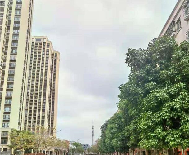 东莞塘厦林村《高铁新城》小产权房 高铁站500米 广场零距离 成熟商业中心 南北朝向