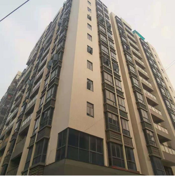 东莞大朗大井头四栋​大型统建楼《松湖凤凰领域》地铁口物业 自带车位 首付三成 七五折