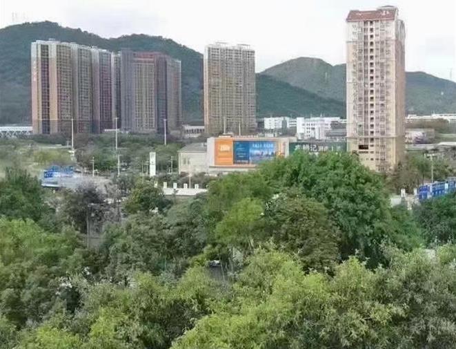 龙华民治梅林关小产权房《公园小筑》绿本 梅林关 民乐 白石龙三大地铁口 公园零距离