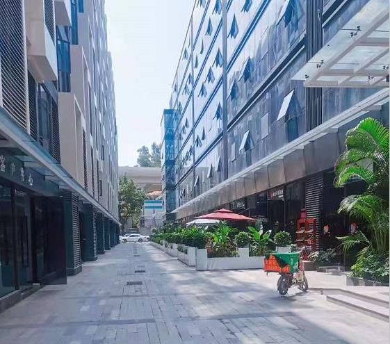 龙岗布吉上水径五栋花园小区《丽湖公馆》地铁口物业小产权房 围合式管理 精装花园洋房