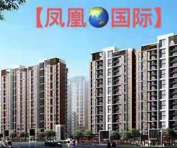 ​东莞凤岗金凤凰四栋大型统建楼《凤凰国际》永久性产权 带管道燃气 专用地下停车场 使用率高