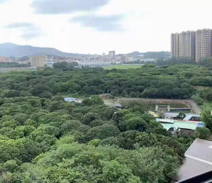 ​东莞大岭山太公岭村《松湖丽园》小产权房 100旧改拆迁区 地铁口 沃尔玛旁，带停车位