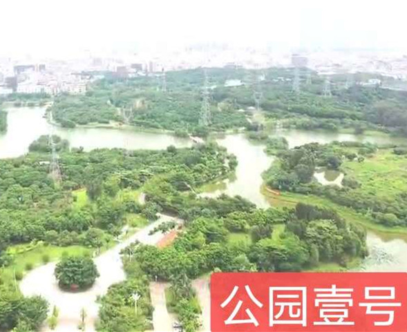 ​大朗蔡边盆古庙小产权房《公园壹号》双地铁口物业 公园零距离 出门商业街