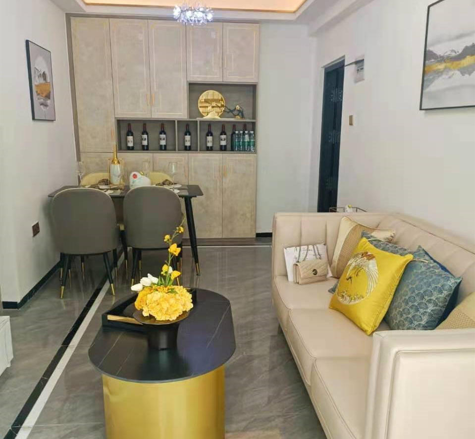 深圳宝安沙井小产权房《沙井豪苑》双地铁口 天虹商场 海岸城零距离 精装现房带家私