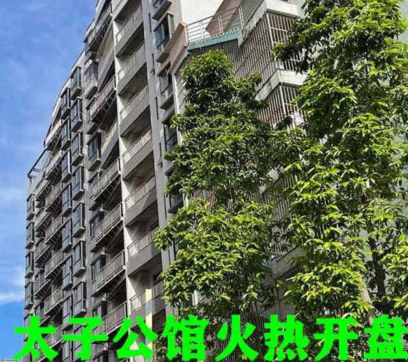 东莞长安沙头3栋统建楼《太子公馆》滨海新区 地铁口马路第一排 南北通透户型方正