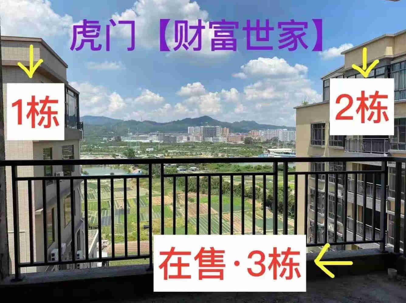 东莞虎门陈村3栋统建楼《财富世家》开盘全场特价 三房四房任挑任选 不分楼层 不分朝向