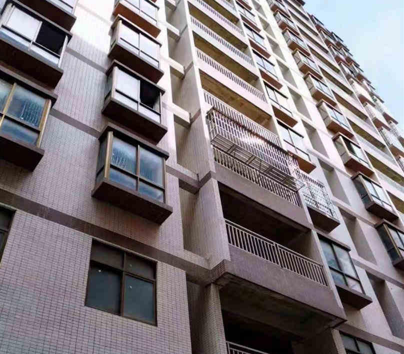 惠州惠阳大亚湾新寮2栋小产权房《鹏城雅苑》在建14号地铁沙田站800米 成熟购物商圈 楼下停车方便