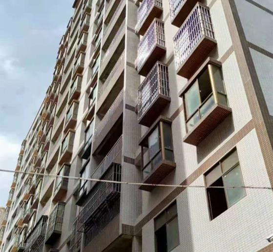 ​惠阳大亚湾比亚迪旁《风华居》临深片区小产权房 1号线地铁口站点 不论楼层 不论朝向任选