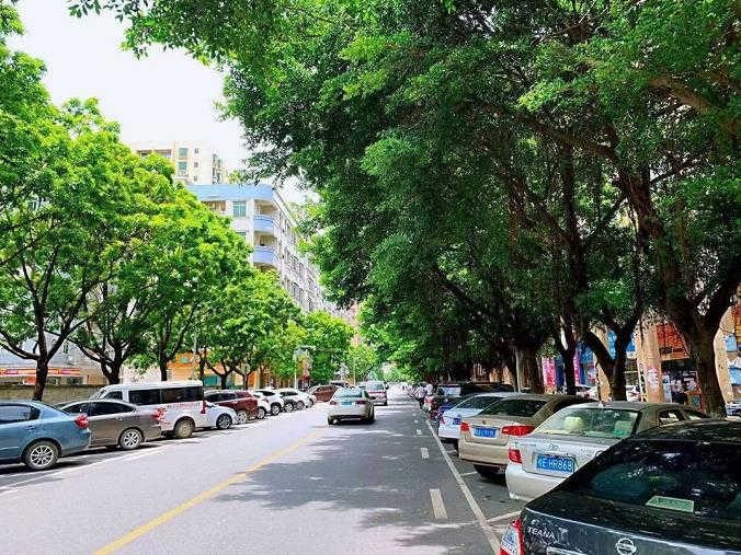 东莞大岭山海航广场旁2栋统建楼《金海雅苑》地铁口物业 民水民电 停车方便，花园洋房