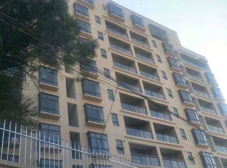 东莞大朗洋乌村3栋统建楼《松湖星城》松山湖0距离 1号线800米 配套设施一应俱全