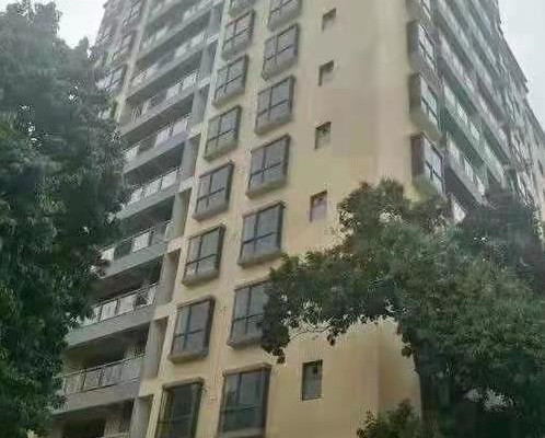 东莞大岭山2大栋小产权房《裕家铭苑》双地铁口 华为为邻 自带室内停车场