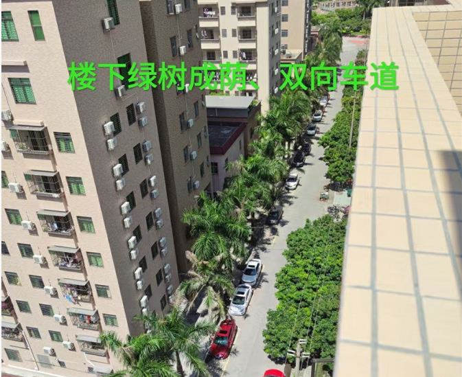 虎门路东滨海湾准拆迁房《滨海华庭》学校 商场 市场一应俱全 真正公园里的家