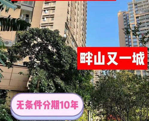 东莞长安中心4栋花园统建楼《畔山又一城》封闭小区 人车分流  带天然气 地下车库