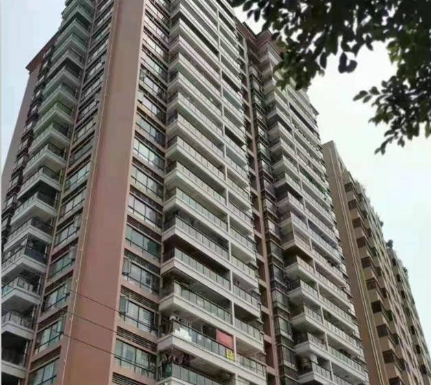 虎门小捷滘3栋统建楼《滨海凯旋花园》地铁 轻轨旁 管道天然气入户 自带停车场