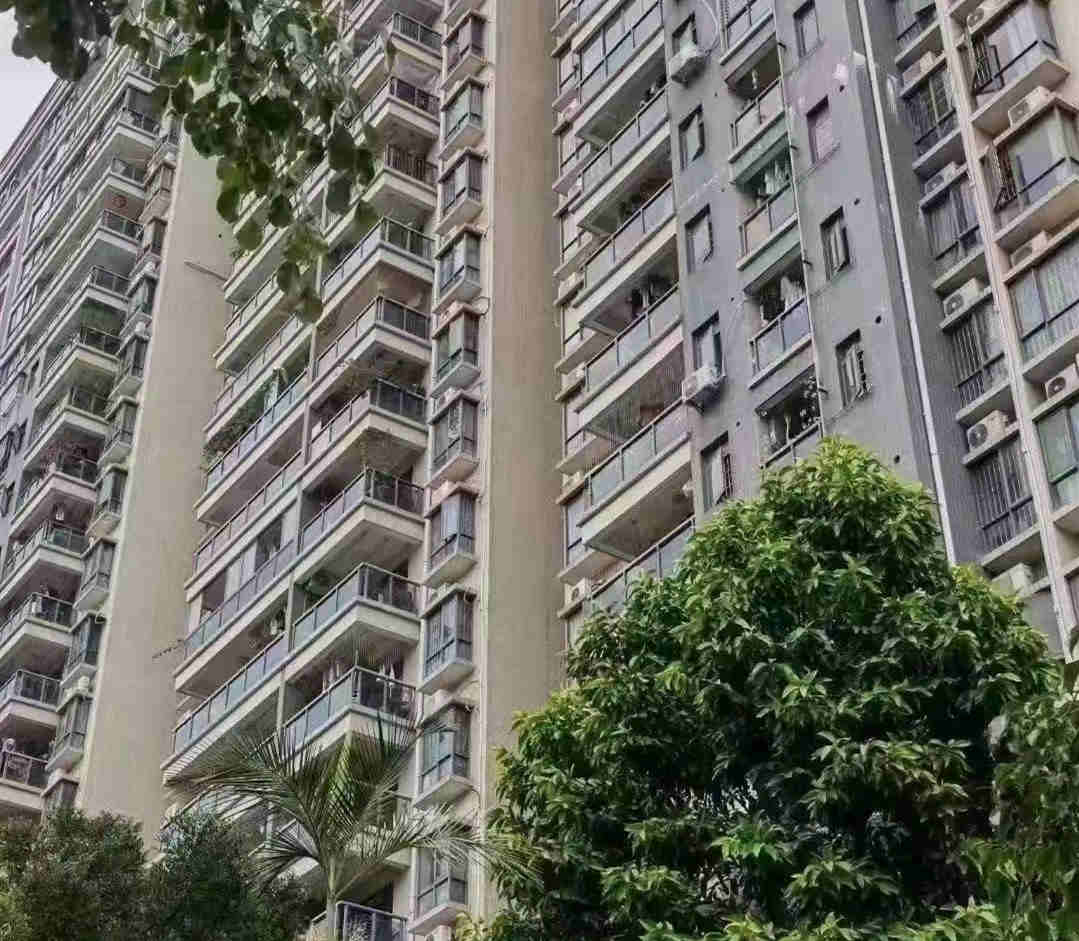 深圳龙华3栋村委房《龙胜村委统建楼》地铁口 可深户  天然气入户 空中花园 地下车库 