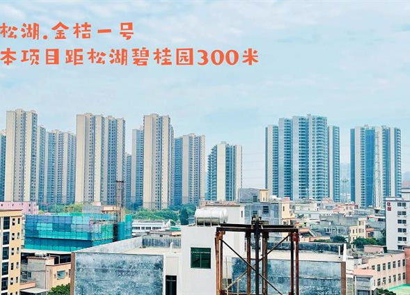 东莞大岭山边岭小产权房《松湖金桔一号》双地铁口物业 衔接深圳6号线 带地面停车场