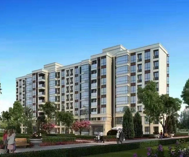 龙岗布吉三大栋小产权房《翰林学苑》深圳东站旁 四轨交汇 原始户型 书香圣地