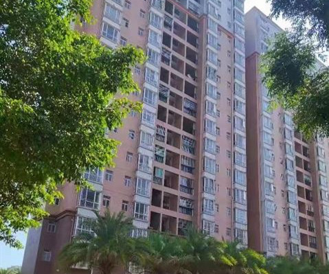 坪山3栋封闭式花园统建楼《鹭诚花园》双地铁 可落户 通燃气 带停车库