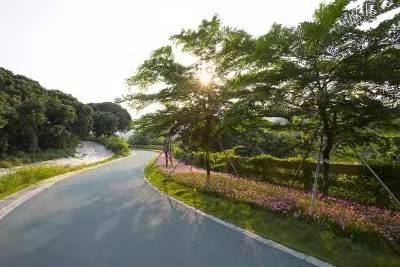 龙华观澜小产权房《华澜新城》华为后花园物业 大型停车场  通天然气 文明社区