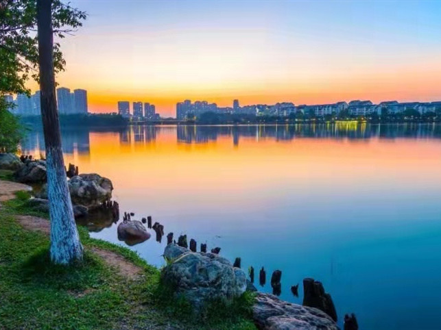 大岭山马蹄岗《南华名苑》公园旁小产权房 学区房 总价18.8万一套起