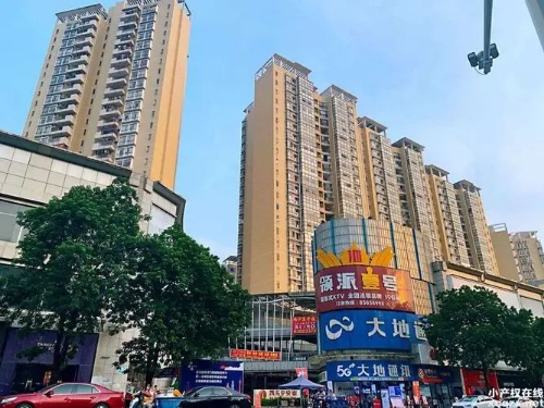 大岭山镇中心《中心一品》地铁口小产权房 三大商圈环抱 公园0距离