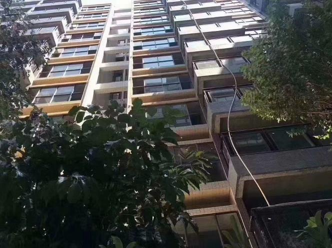 大岭山海航广场旁3栋统建楼《松湖雅苑》东站地铁口 与松山湖一路之隔 带大型停车场