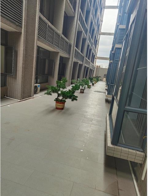 首付3成带精修4980起买厚街中心寮厦2栋小产权房《康美豪庭》空中花园 带地下停车场