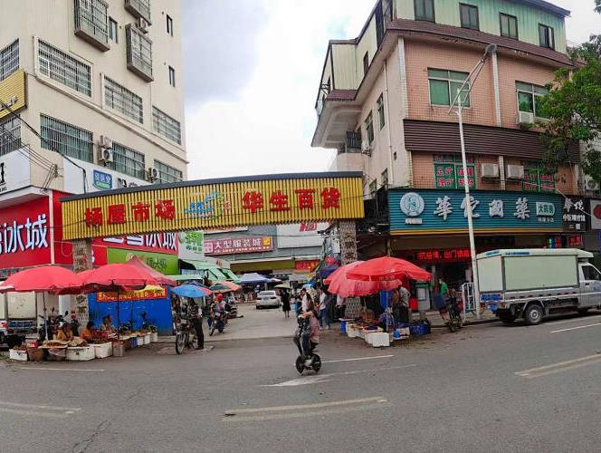 真正临深 大岭山杨屋2栋统建房[松湖筠峰] 双地铁口 15分钟达深圳 16分钟长安万达