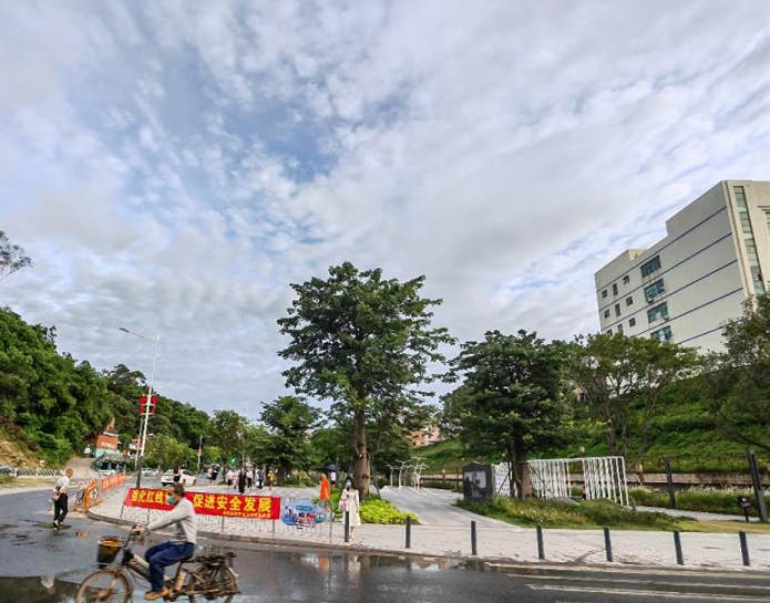 客家小镇景点旁 布吉甘坑地铁口小产权房《半山雅筑》封闭式管理 3站直达华为 4站华南城