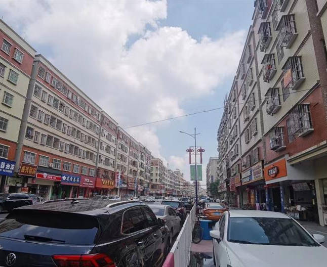 塘厦振兴围小产权房[振业豪庭] 户型南北通透 交通便利配套齐全 大型停车场