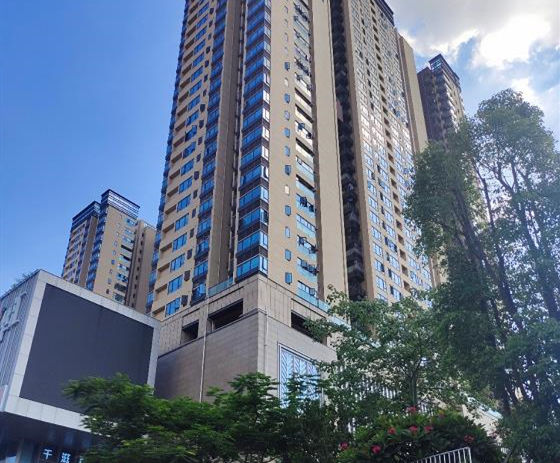 布吉长龙小产权房[阳光新苑]水径地铁口 出门公交直达罗湖福田南山 教育资源丰富