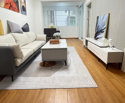 民治地铁口[中央府]小产权房 天虹商场和深圳北站旁 原始户型拎包入住 带燃气