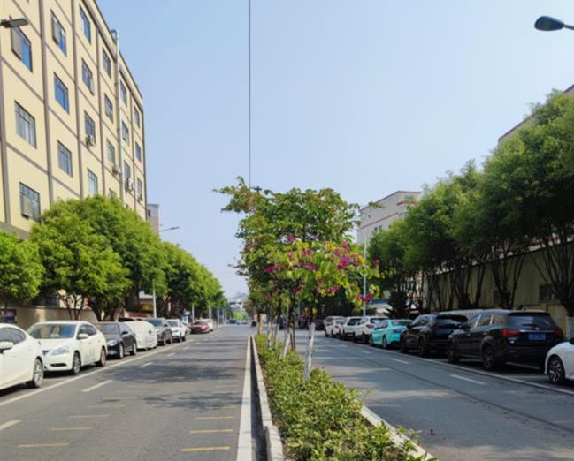 大岭山大环村小产权房《品果公园里》家门口自带花园 自带停车场 交通便利配套齐全