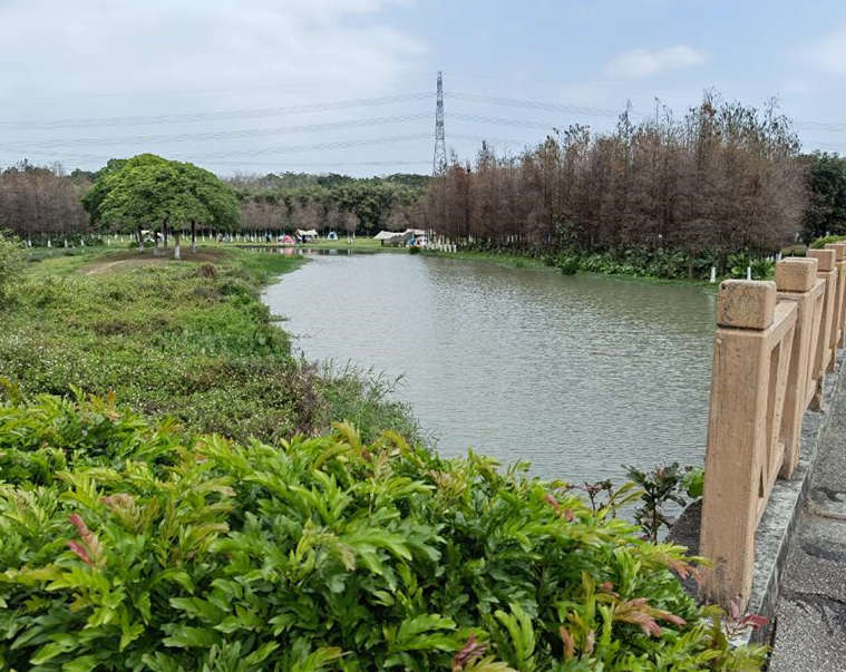 生态园毗邻 茶山小产权房《悦湖一号》名校为邻 交通便利配套齐全