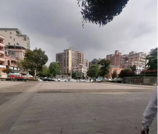 大岭山3栋小产权房《梅林花园》北站地铁口 楼下公园 大型停车场 配套齐全户型方正