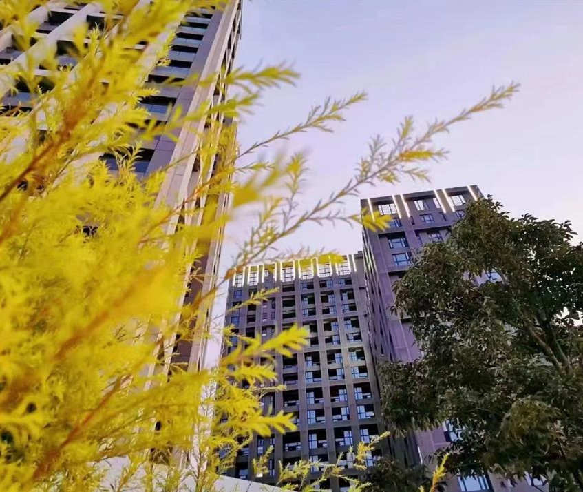 大岭山矮岭冚3栋统建楼《松湖一品》1号线500米  松山湖 粤港澳大湾区中心 管道煤气 双层停车场