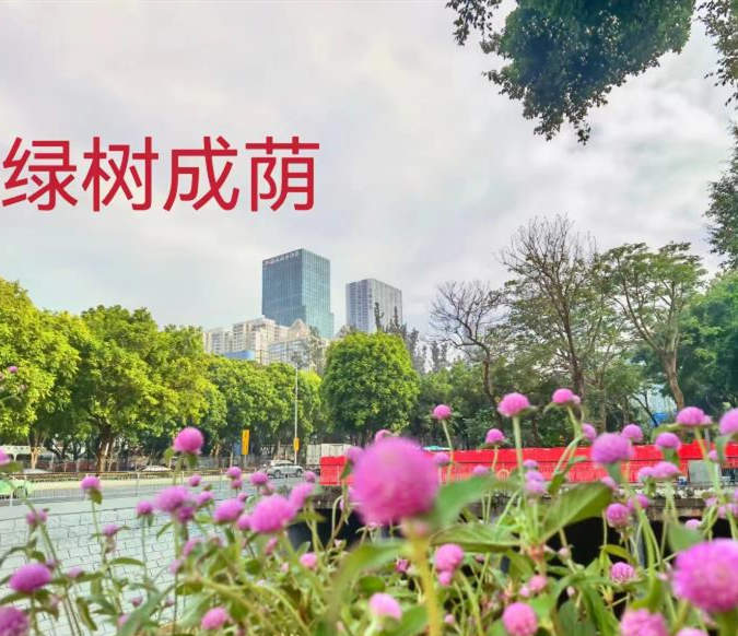 福田新洲小产权房《福田花园》双地铁口物业 原始户型 可落深户 豪华装修无敌采光